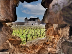 10- Chateau du clos de Vougeot  (1).jpeg